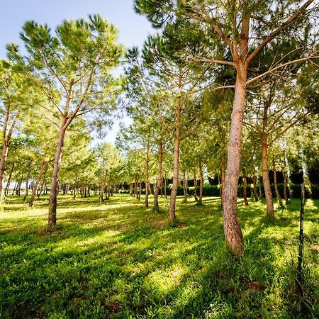 Agriturismo Bio San Mamiliano Γκροσέτο Εξωτερικό φωτογραφία