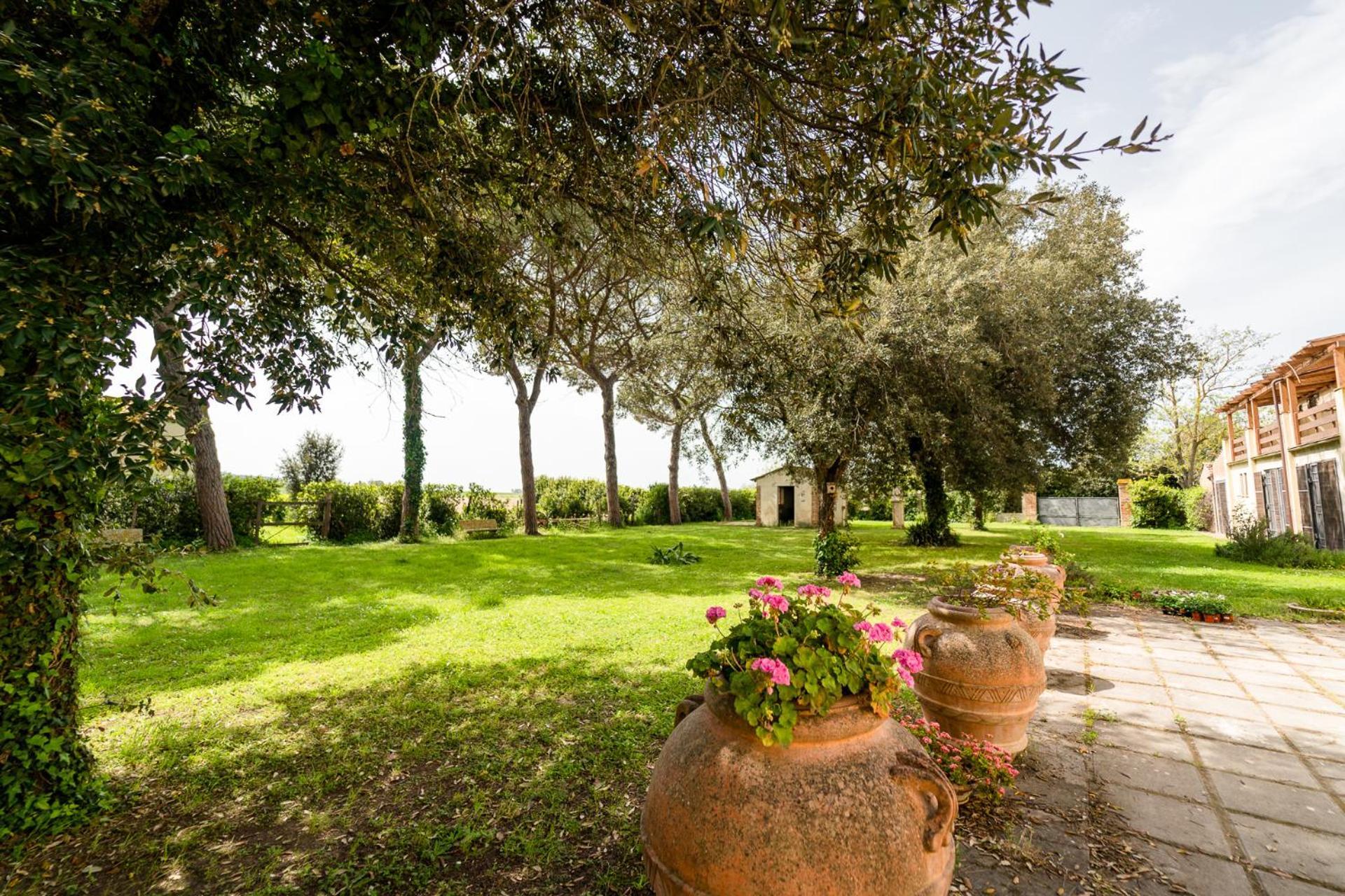 Agriturismo Bio San Mamiliano Γκροσέτο Εξωτερικό φωτογραφία